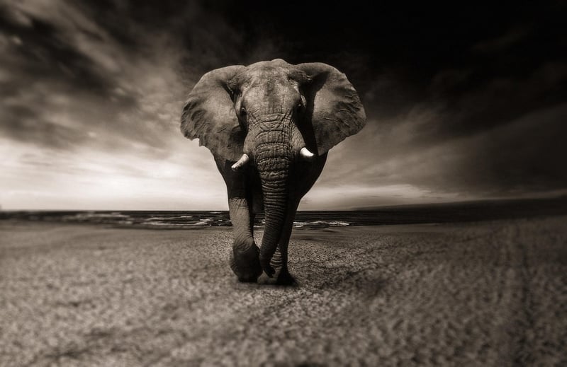 Fabled Animals