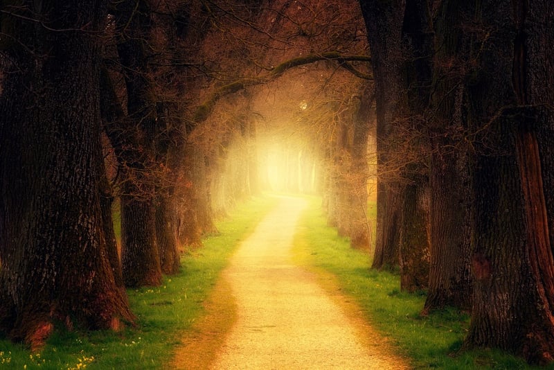 Fantasy Landscape